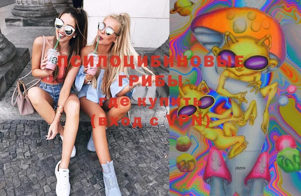 СК Вязники