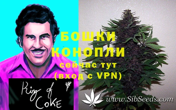 амф Горняк