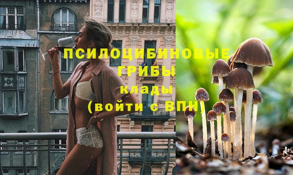 дживик Вязьма