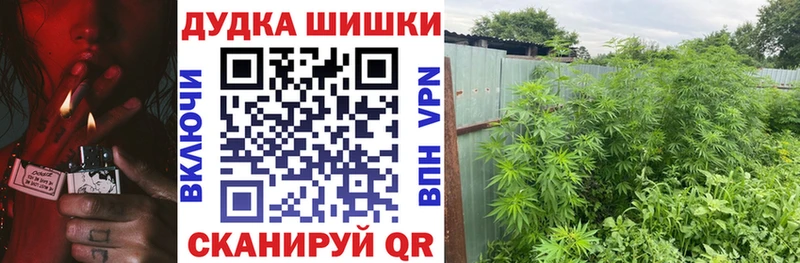 Бошки марихуана Bruce Banner  Железногорск-Илимский 